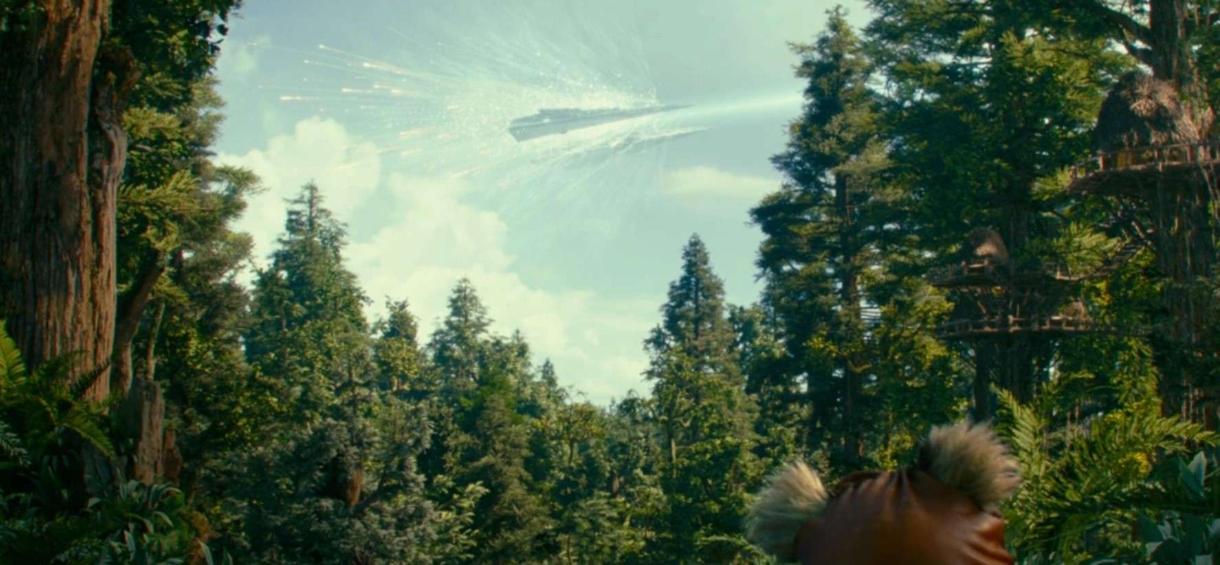 Che cos’è la manovra Holdo – Guida al Canon