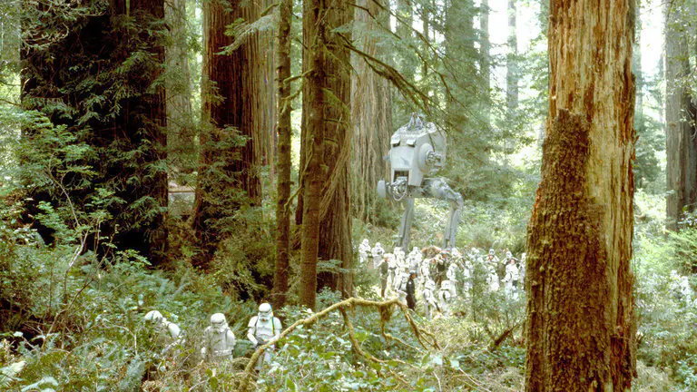 Endor Endor