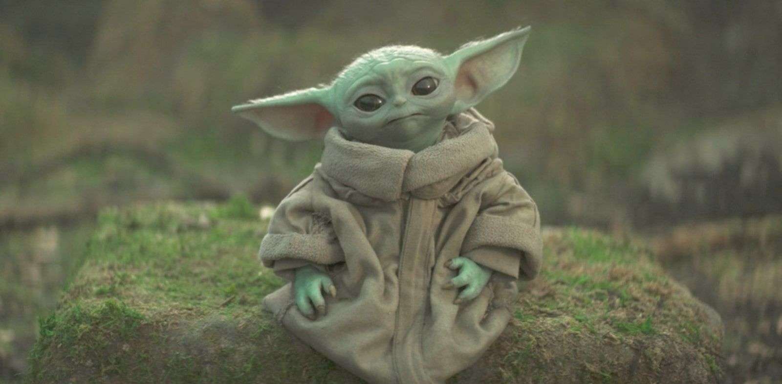 Star Wars, l’enigma della specie di Yoda: tutto quello che sappiamo