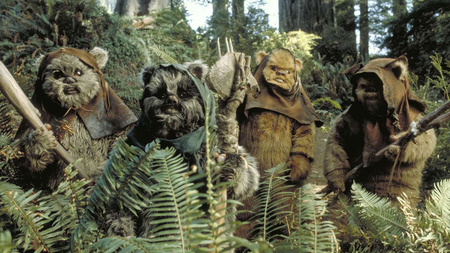 Ewok Ewok