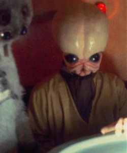 Una Chadra-Fan, un Bith, un Sakiyan, un Abyssin, un Aqualish, un umano, un Rodiano, un Wookie e un Muftak entrano in un bar