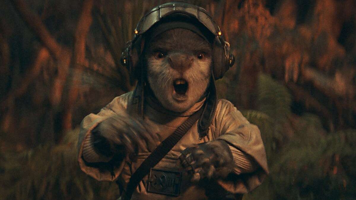 Tynnan Tynnan