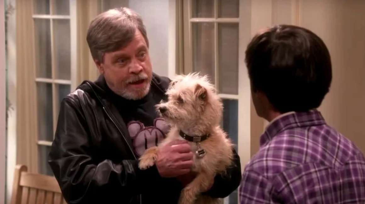 Simon Helberg e Mark Hamill: il legame speciale tra la star di Star Wars e Howard di The Big Bang Theory