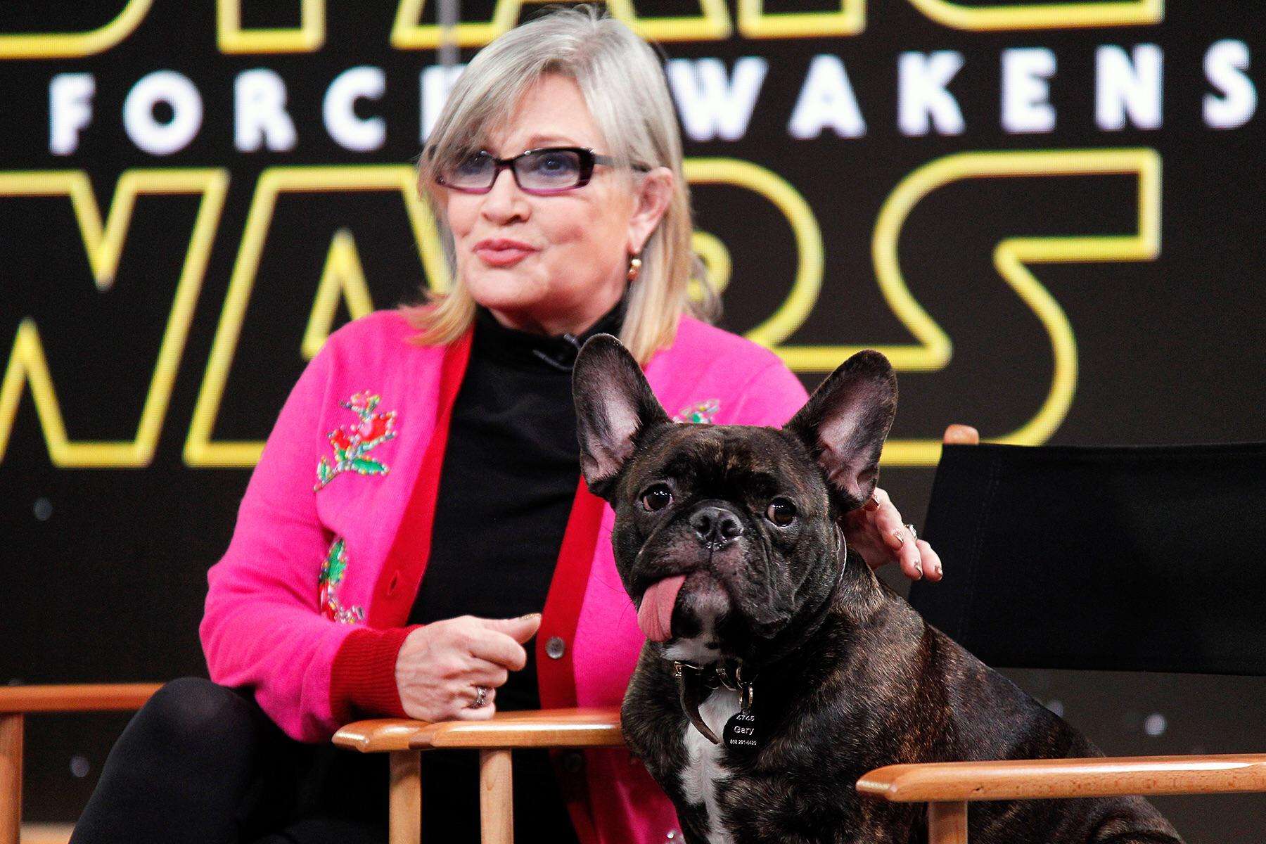 È morto Gary Fisher, l’amato cane di Carrie Fisher comparso anche ne Gli Ultimi Jedi
