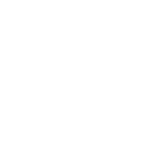 gentle giant Chi Siamo
