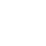 tribe Chi Siamo